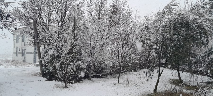 Malatya’da Kar Yağışı Etkili Oluyor