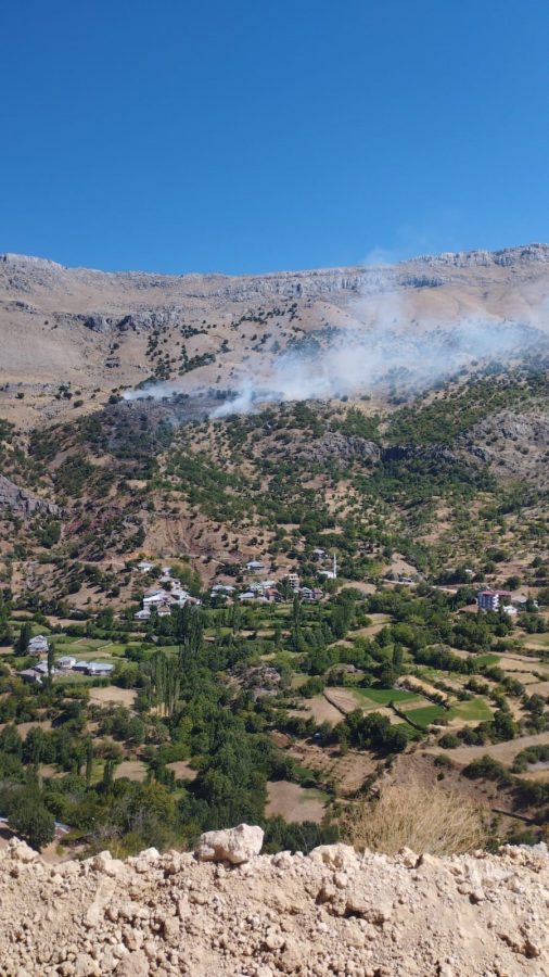 Pütürge’de Orman Yangını 1 Yaralı