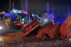 Malatya’da Feci Kaza: Bir Polis Şehit, Bir Polis Yaralı Adıyaman-Malatya Çevreyolu Tatari Mevkii’nde meydana gelen trafik kazasında bir polis memuru şehit oldu, bir polis memuru ise yaralandı.